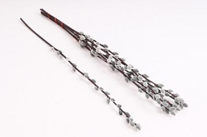 kociciky-79-cm-sede_10061_24436.jpg