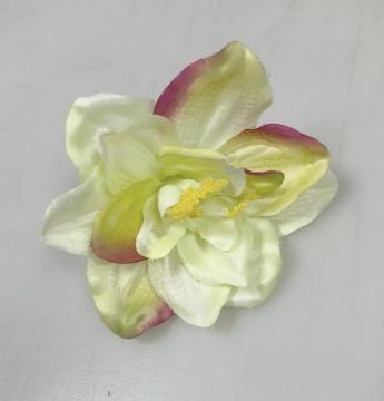 kvet-amarylis-9-cm-zlutozelena_8561_16361.jpg