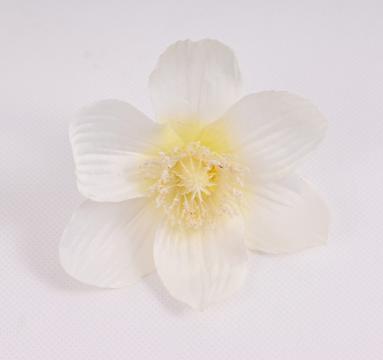 kvet-cemerice-10-cm-kremova_10014_24245.jpg