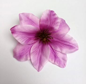 kvet-clematis-12-cm-fialovy_10113_24871.jpg