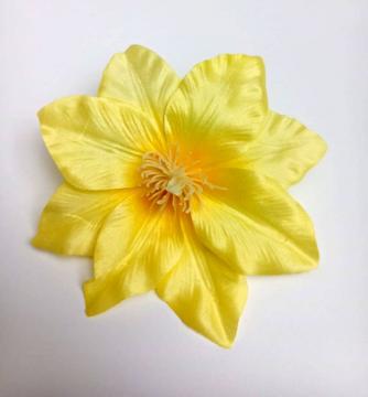 kvet-clematis-12-cm-zluty_10110_24847.jpg