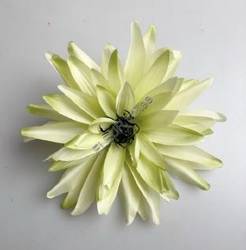 kvet-jirina-12-cm-zlutozelena_8560_16357.jpg