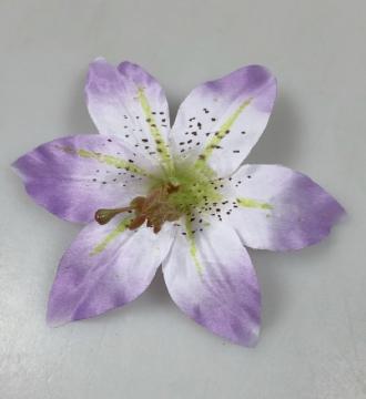 kvet-lilie-12-cm-sv--fialova_8544_16301.jpg