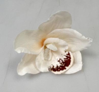 kvet-orchidea-10-cm-oranzova_8815_17726.jpg