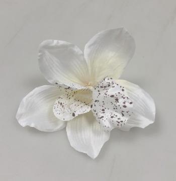 kvet-orchidea-8-cm-bila_8811_17713.jpg