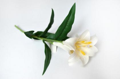 lilie-2-kvety-45-cm_8075_14620.jpg