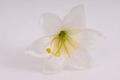lilie-kvet-9-cm-kremova_9343_19971.jpg