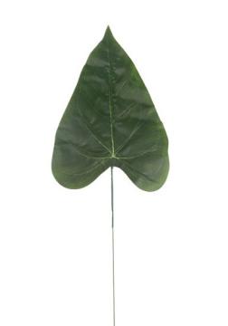 list-kala-48-cm-zelena_11494_31606.jpg