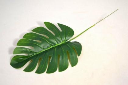 list-monstera-41cm_8229_15133.jpg