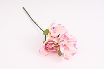 magnolie-47-cm-bilo-fialova_10059_24432.jpg