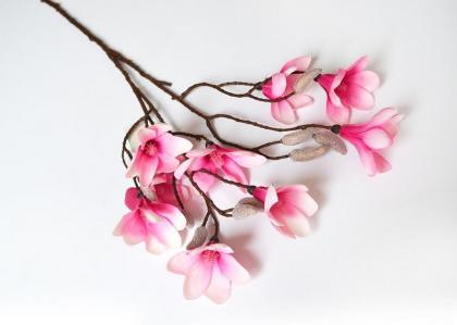 magnolie-vetev-70-cm_8103_14665.jpg