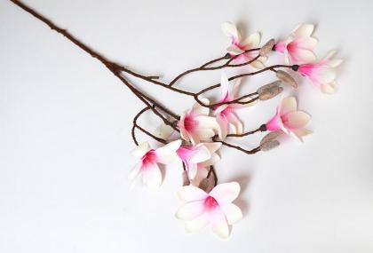magnolie-vetev-70-cm_8104_14667.jpg
