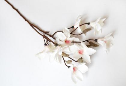 magnolie-vetev-70-cm_8105_14669.jpg