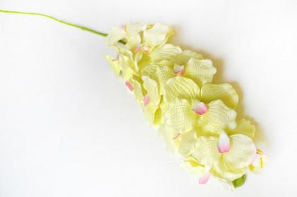 orchidej-10-kvetu-92-cm_8092_14654.jpg