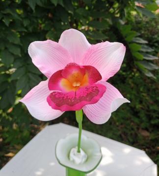 orchidej-catleya-42-cm-ruzova_10086_24637.jpg