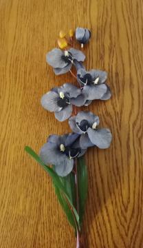 orchidej-phalaenopsis-77-cm-sedy_9405_20222.jpg