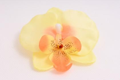 orchidej-vazbova-phalaenopsis-8-cm-svetle-zluta_9746_23014.jpg
