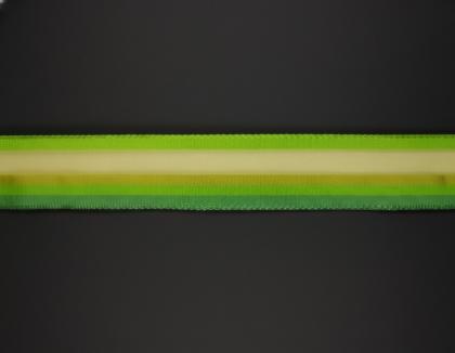 platnova-stuha-s-monofilem-a-dratem-25mm-zelena_11777_33070.jpg
