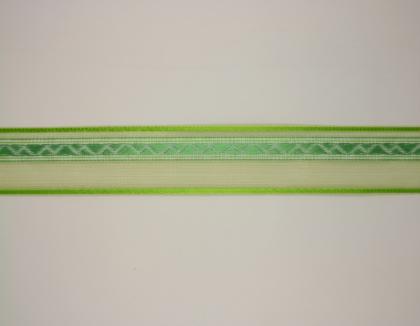 platnova-stuha-s-monofilemvzorem-a-dratem-25mm-zelena_11793_33157.jpg
