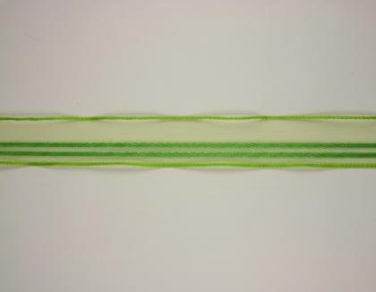 platnova-stuha-s-monofilemvzorem-a-dratem-25mm-zelena_11812_33265.jpg
