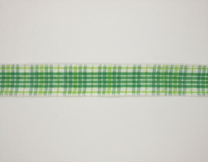platnova-stuha-s-monofilemvzorem-a-dratem-25mm-zelena_11828_33357.jpg