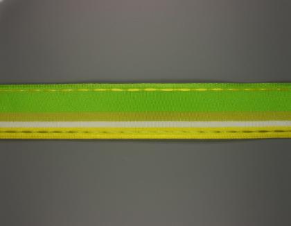 platnova-stuha-se-vzorem-monofilem-a-dratem-25mm-zluto-zelena_11769_33022.jpg