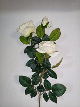 ruze-3-kvety-90-cm-bila_8292_15479.jpg