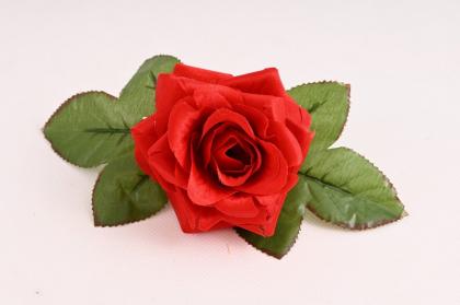 ruze-s-listky-8-cm-cervena_11534_31811.jpg