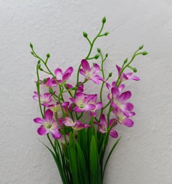 trs-kvetouci-33-cm-fuchsiova_11230_30506.jpg