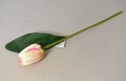 tulipan-1-kvet-46-cm-sv-ruzovy_9936_24014.jpg
