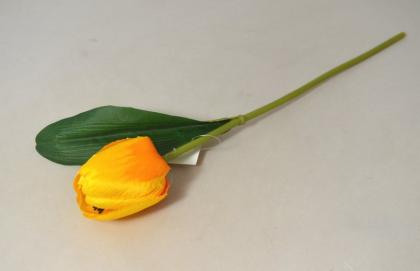 tulipan-1-kvet-46-cm-zluty_9938_24016.jpg