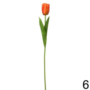 tulipan-1-kvet-48-cm-cervena_11861_33481.jpg
