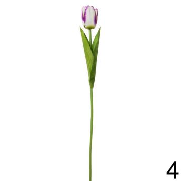 tulipan-1-kvet-48-cm-fialova_11859_33477.jpg