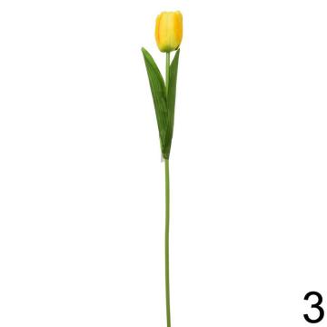 tulipan-1-kvet-48-cm-zluta_11858_33475.jpg