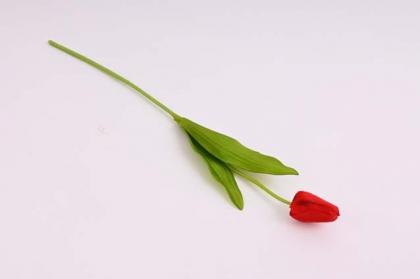 tulipan-48-cm-cevena_8859_17909.jpg