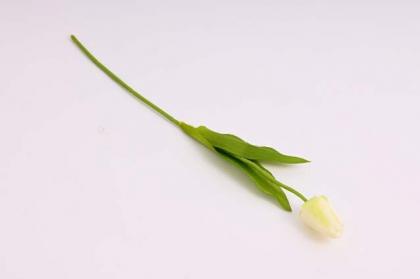 tulipan-48-cm-kremovo-zeleny_8856_17899.jpg