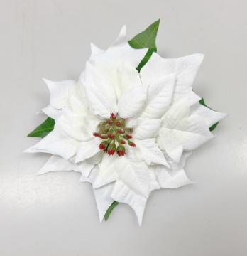 vanocni-hvezda-kvet--poinsettia--18-cm-bila_9816_23470.jpg
