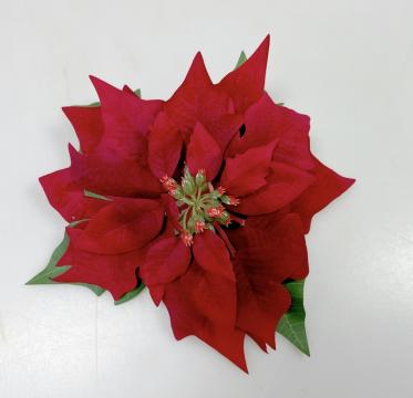 vanocni-hvezda-kvet--poinsettia--18-cm-cervena_9817_23469.jpg