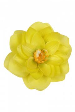 vazbovy-kvet-lekninu-11-cm-zeleno-zluta_9797_23386.jpg