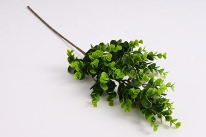 vetev-eukayiptus-60-cm-zelena_10317_25688.jpg