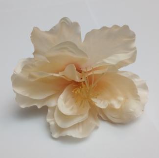 kvet-ibiseku-12-cm-cajova_9508_20894.jpg