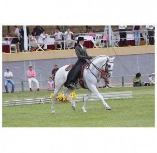 sombrero-portugalsky-styl_5823_10141.jpg