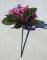 africka-fialka-26-cm-ruzova_9526_21084.jpg