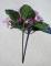 africka-fialka-26-cm-svetle-ruzova_9525_21089.jpg
