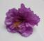 kvet-ibiseku-12-cm-fialova_9507_20884.jpg