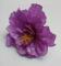 kvet-ibiseku-12-cm-fialova_9507_20888.jpg