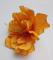 kvet-ibiseku-12-cm-oranzovy_8688_20862.jpg
