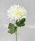 Chryzantéma bílá 60 cm 
