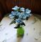 Kalanchoe 21 cm 