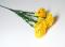Karafiát mini, 5 květů, 50 cm, žlutá 